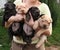 Shar pei puppies in hand