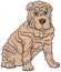 Shar Pei purebred dog cartoon illustration