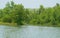 Sharavati river on a beautiful bright day with trees