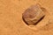 Shard of pottery found by chance in the Sudan desert with engraved antique symbols