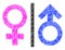 Shards Mosaic Toilet Gender Symbol Icon