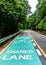 Shared bike sign painted on bike lane in public park