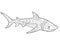 Shark - antistress coloring book - vector linear picture for coloring. Sea dweller - Shark - antistress for marine coloring book.