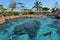 Shark Bay in Sea World Gold Coast Queensland Australia