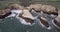 Shark Fin Cove Beach with a Towering rock and Sea Cave. California. Pacific  Ocean Waves. Island. Drone 16