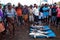 Shark fin - dead sharks at fish market - Beruwela, Sri Lanka