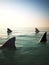 Shark fins circling above the ocean water.