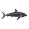 Shark fish glyph icon.