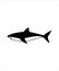 Shark flat design icon,best illustration design shark icon.
