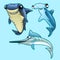Shark, hammerhead and swordfish on blue background