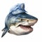 Shark Head Hat Watercolor Illustration
