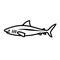 Shark icon. Black line vector isolated icon on white background.