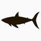 Shark icon. Template for logo. Vector.