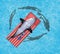 A shark lies on a flotation mattress in a swimming pool as human swimmers circle in the water below. This is a