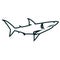 Shark line art vector illustration. Shark simple outline design