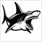 Shark logo for a sport team on white. Vector illustration