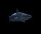 Shark near the rock at the deep blue ocean isolated at black
