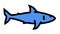 shark ocean color icon animation