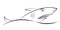 Shark over a wave. Graphic drawing. Element symbol, sign.