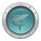 Shark in porthole