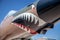 Shark`s Teeth on Vintage Aircraft Nose