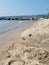 Shark sand sculpture by water