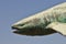 Shark sculpture on background of blue sky
