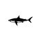 Shark silhouette. Monochrome illustration of stylized shark. isolated on white background
