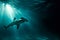 Shark Swimming in the Ocean Depths, A surreal scene showcasing a hammerhead shark in the deep ocean, AI Generated