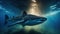 shark under water Large whale shark in a deep blue ocean. at night