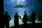 Shark with Visitors at Salt Water Aquarium, Lisboa in Portugal