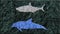 Shark vs dolphin made of clay in stop motion