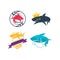 Shark World King Stethoscope Shield logo design set template