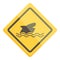 Shark zone sign icon cartoon vector. Sea danger