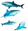 Sharks