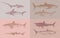 Sharks set.Great white shark, Sixgill sawshark. Basking Sand Tiger Hammerhead Thresher Atlantic Bull Mackerel Whale Blue