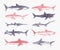 Sharks set.Great white shark, Sixgill sawshark. Basking Sand Tiger Hammerhead Thresher Atlantic Bull Mackerel Whale Blue