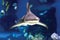 Sharks and small fish swimming in oceanarium