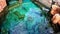 Sharks swimming in a large enclosure at an aquarium