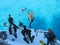 SHARM EL SHEIKH, EGYPT - december 29, 2009: Divers jump into the beautiful turquoise ocean from the side of a white yacht in the