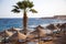SHARM EL SHEIKH, EGYPT - March 18, 2019: Red Sea Coast, Concord Hotel. Beach with umbrellas, sun beds and palm trees. Background