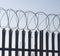 Sharp barbed wire spiral