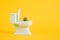 Sharp cactus in miniature toilet pot on yellow background copy space