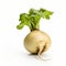 Sharp And Clever Humor: Turnip Root On White Background