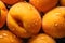 Sharp close-up of Fresh Apricots