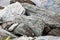 Sharp gray rocks on the beach