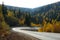 Sharp road bend in autumn forest