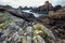 Sharp rocky coastline