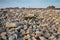 Sharp rocky coastline