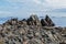 Sharp rugged rocks on the ocean shore